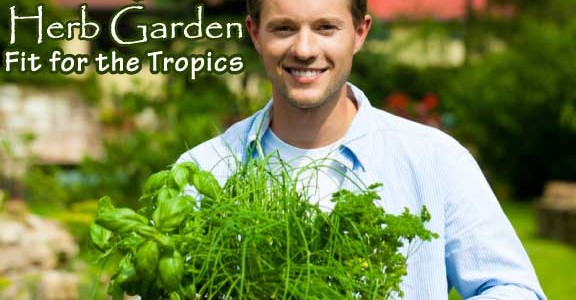 Building an Herb Garden Fit for the Tropics