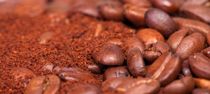 Can I Grow My Own Backyard Coffee Beans?