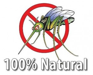 natural-bug-spray