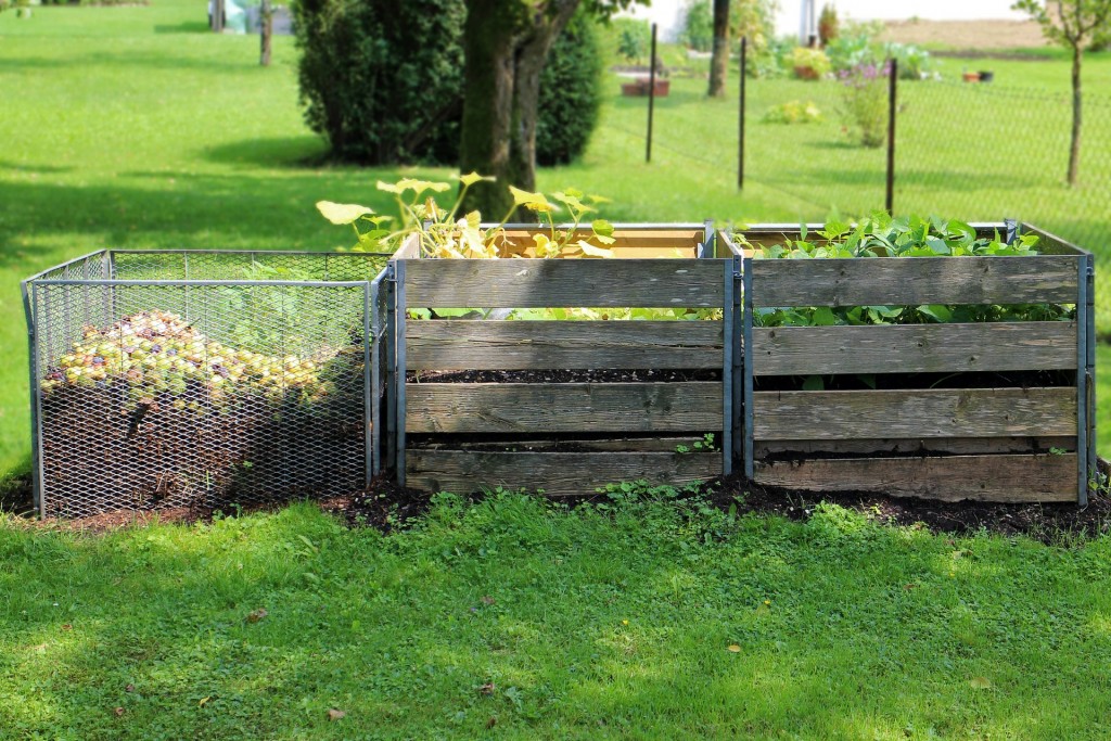 Compost Growing