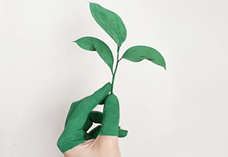 Tips for Going Green in Business