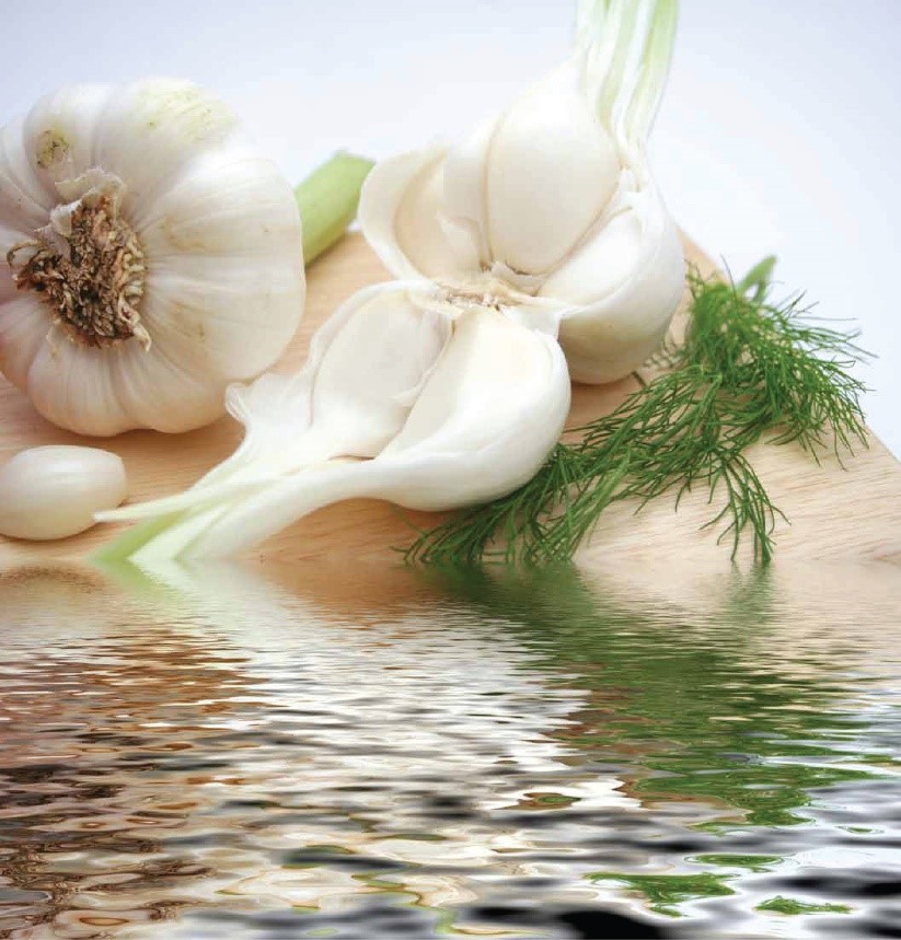 Why You Should Love Garlic