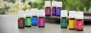 Yl-essential-oils