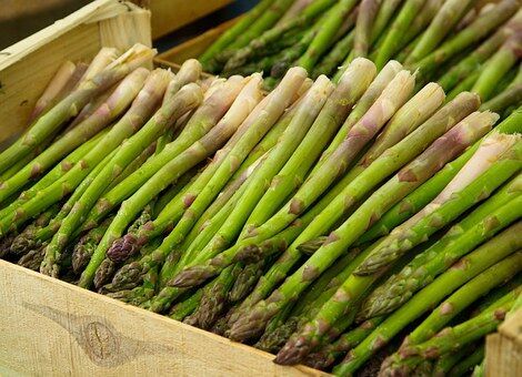 asparagus1