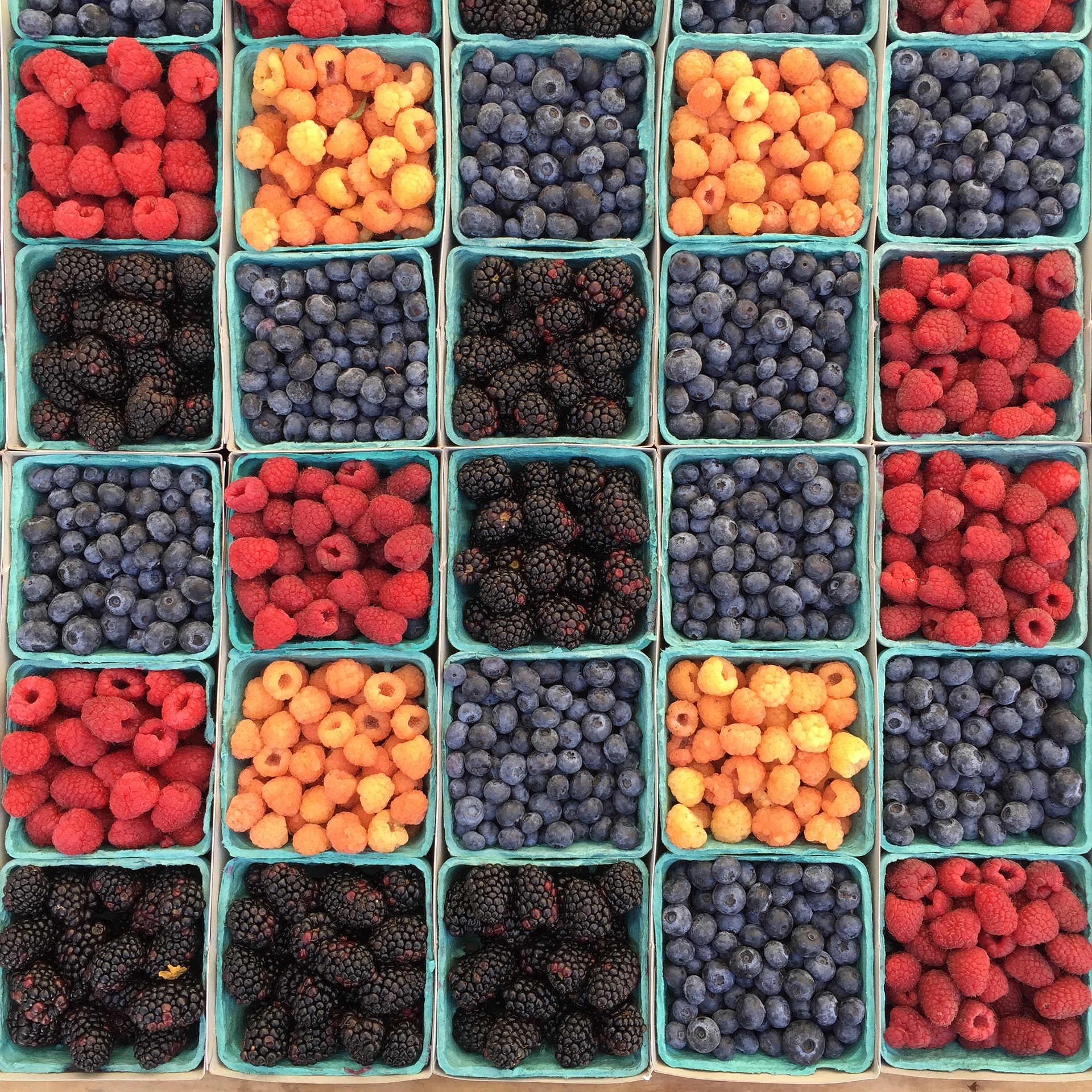 berries-1841064_1920 (002)