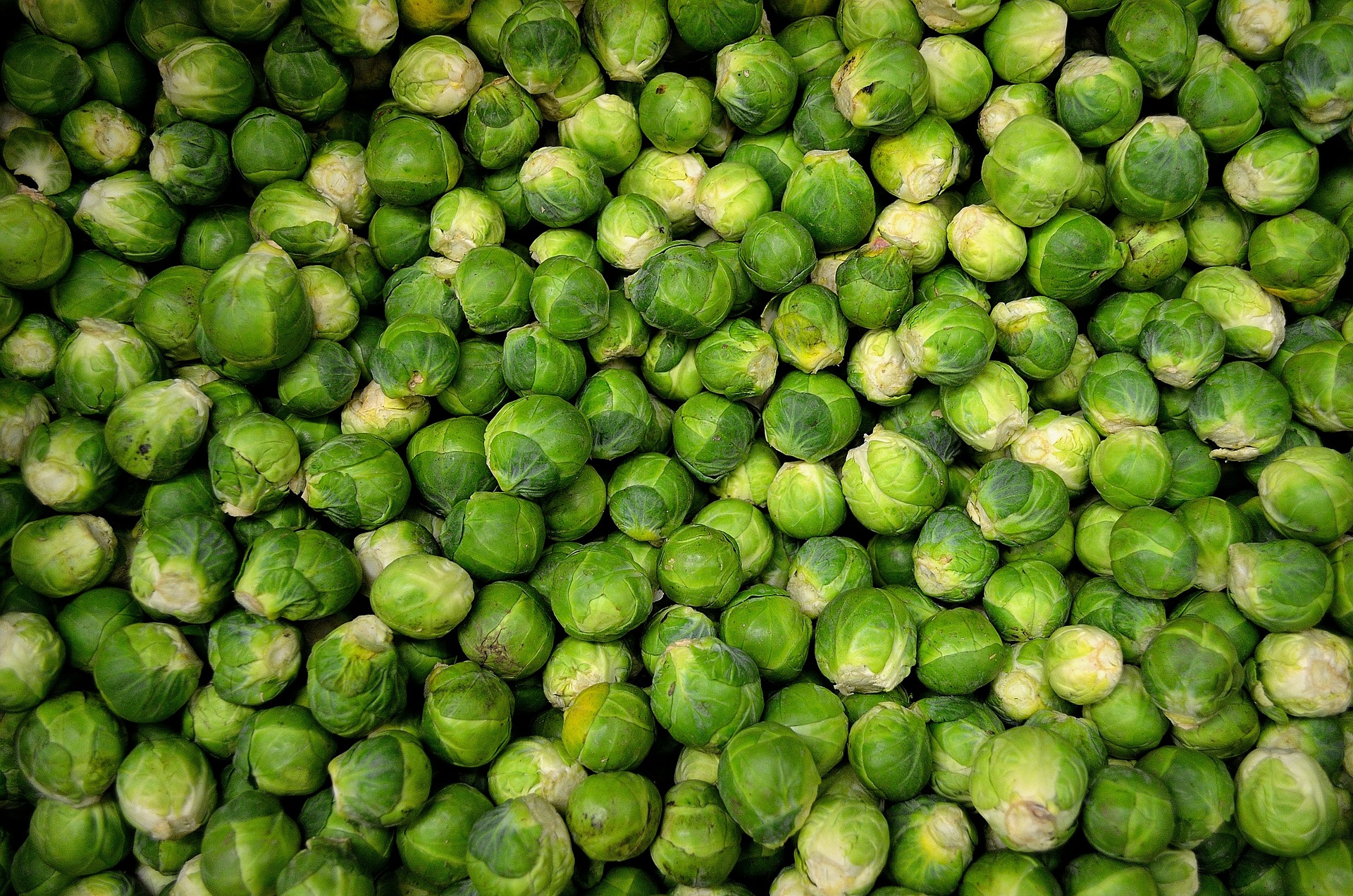 brussels-sprouts-22009_1920 (2)