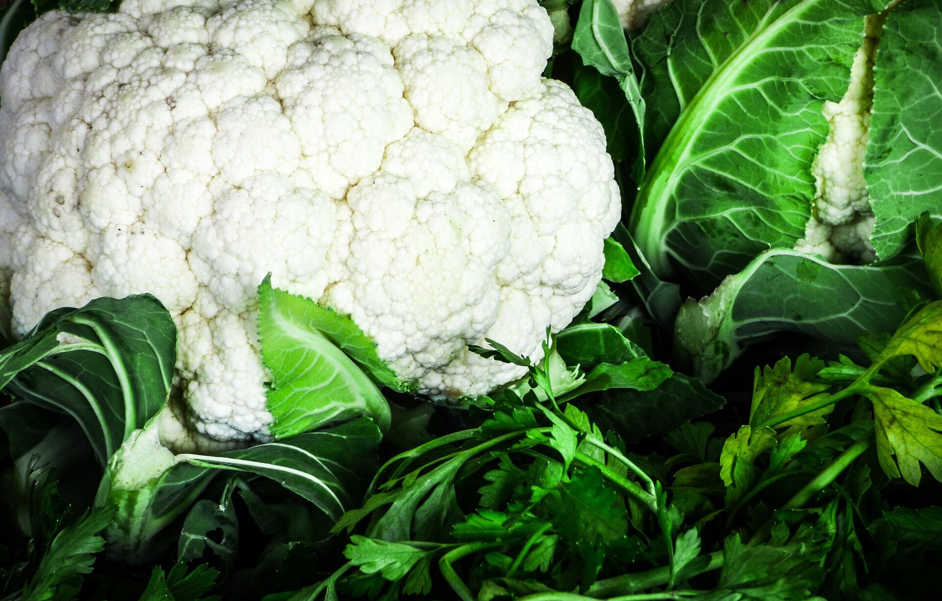 cauliflower1