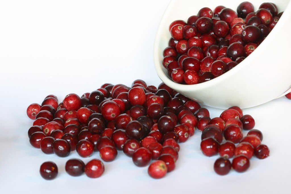 cranberries_1