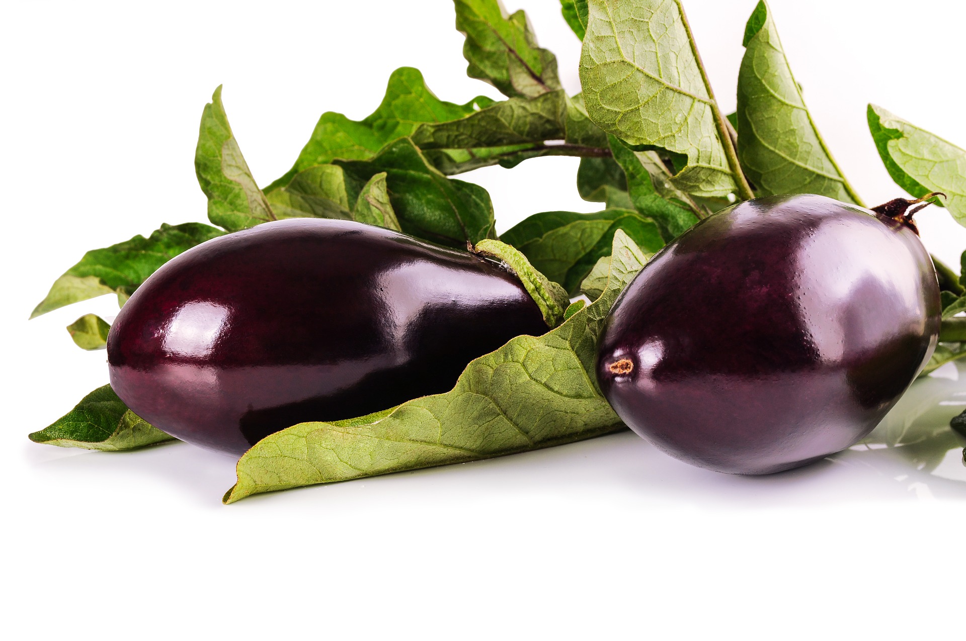 eggplant-1659784_1920 (2)
