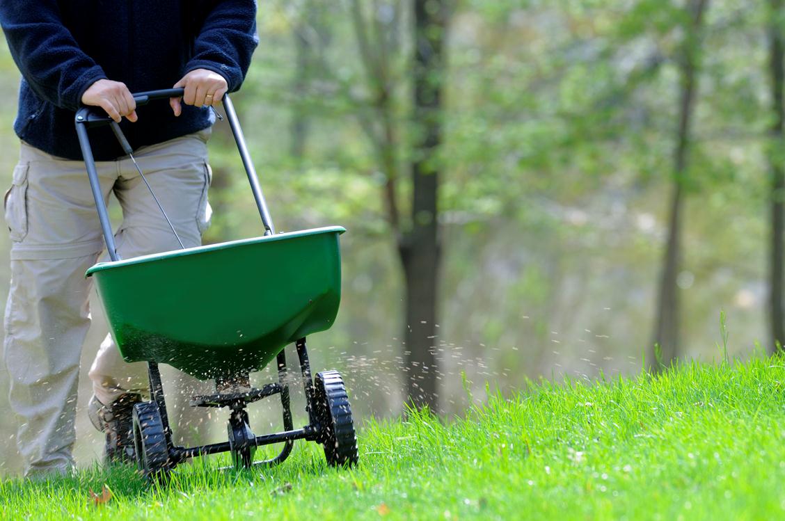 fall-lawn-maintenance