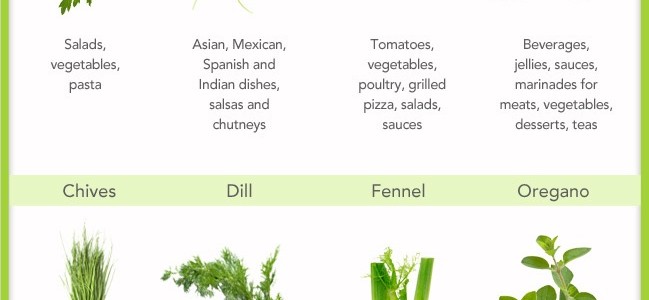 Eight Awesome Herbs