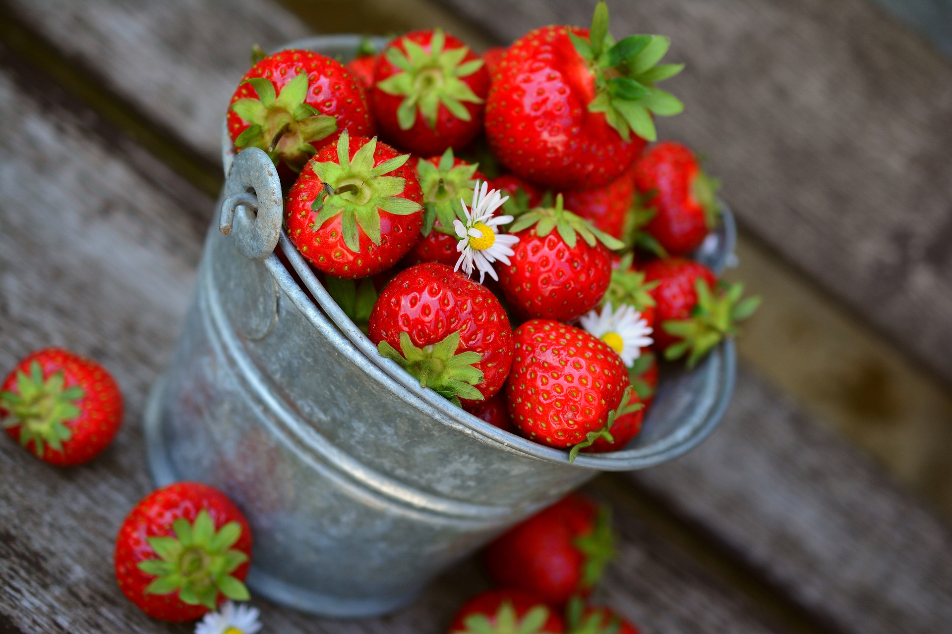 strawberries-3431122_1920 (002)