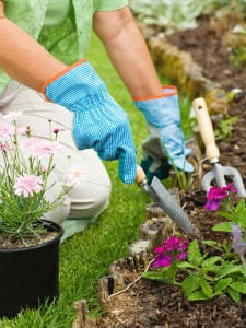 woman-gardening