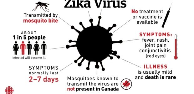 What is the Zika Virus?